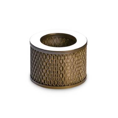 Filtre d'aspiration pour compresseurs Heavy Duty COLTRI|