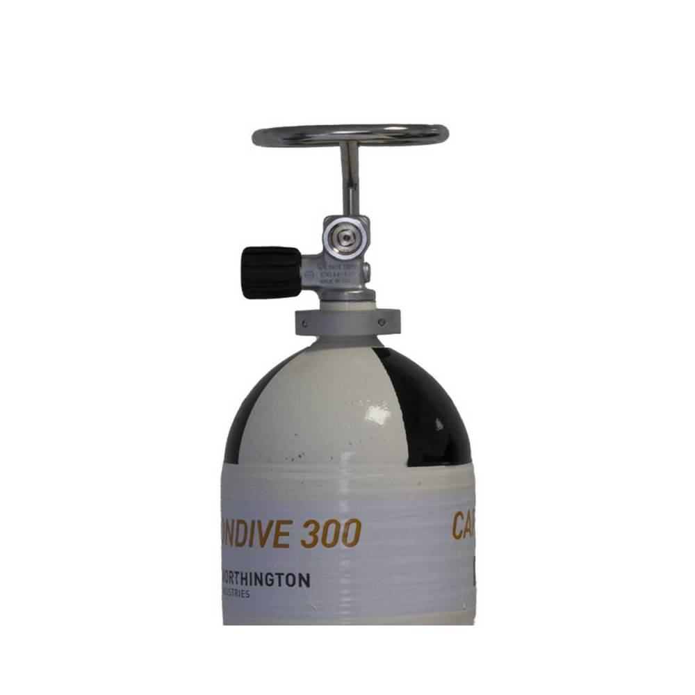 Protección para válvula de botella individual|