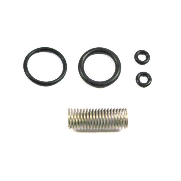 Kit entretien clapets anti-retour TEK2E100 et TEK2E105