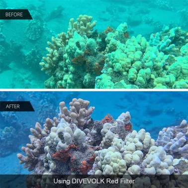 Pack Filtres SeaTouch 4 Max PLUS DIVEVOLK