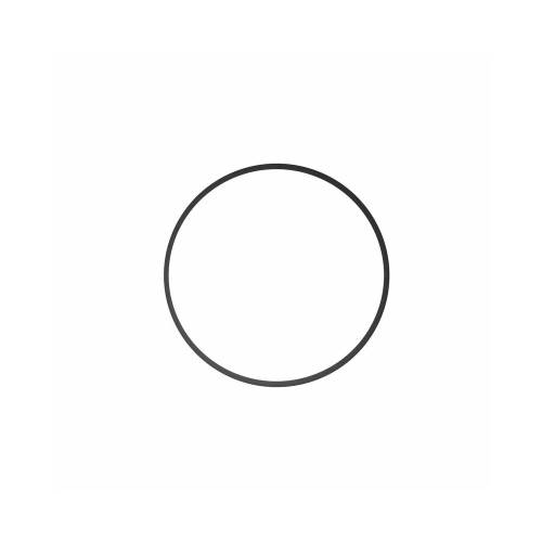 Junta tórica para flash Mini-C IKELITE