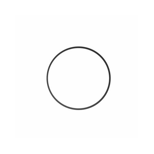 Joint torique caisson DLM IKELITE pour batteries DS161, DS160, DS125