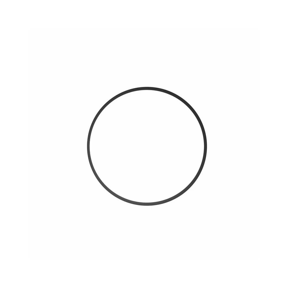 O-ring IKELITE DLM housing for DS161, DS160, DS125 batteries