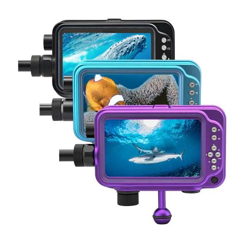 Moniteur externe vidéo MR5.5 FOTOCORE